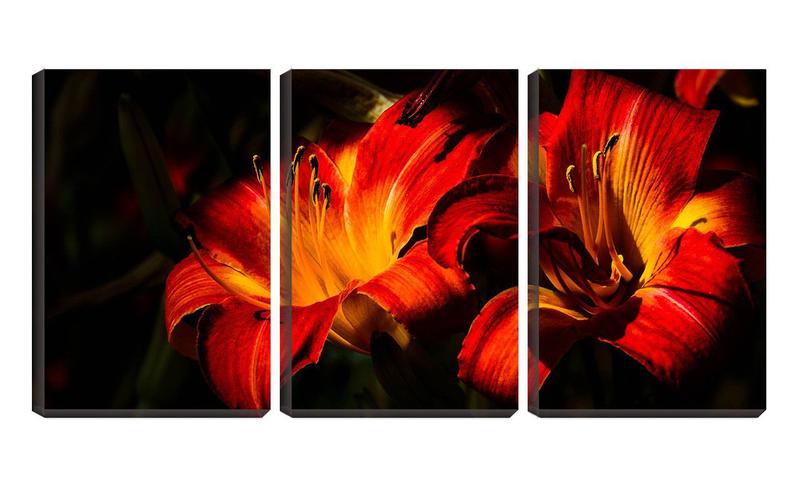 Imagem de Quadro Decorativo 45x96 flores sobre fundo preto