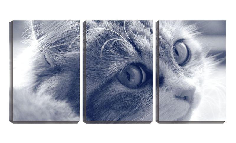 Imagem de Quadro Decorativo 45x96 pêlos de gato animal