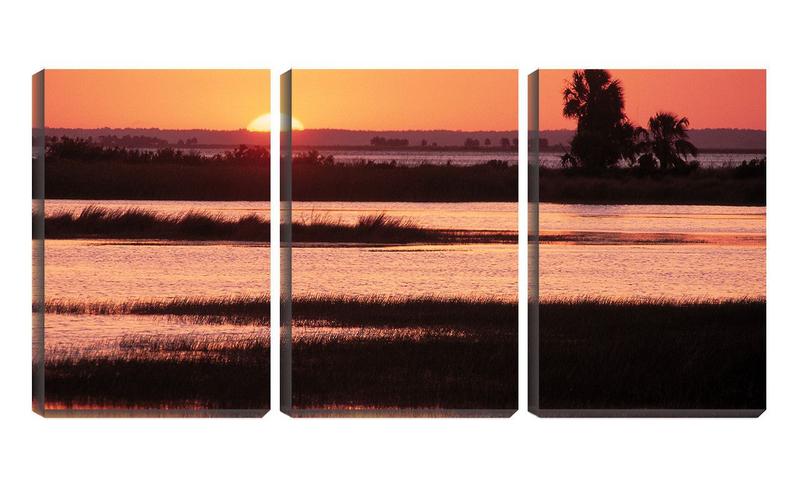 Imagem de Quadro Decorativo 45x96 pôr do sol no pantanal