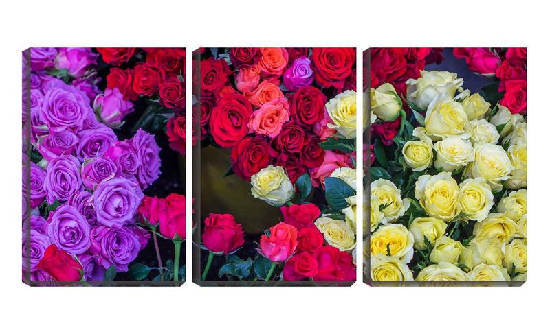 Imagem de Quadro Decorativo 45x96 rosas coloridas