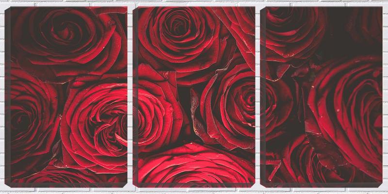Imagem de Quadro Decorativo 45x96 rosas vermelhas textura