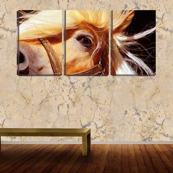 Imagem de Quadro Decorativo 55x110 olho de cavalo entre crina