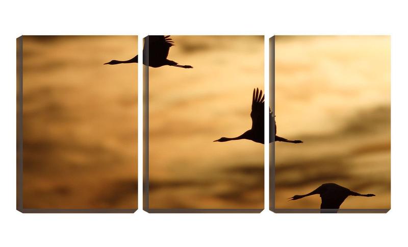 Imagem de Quadro Decorativo 55x110 silhueta de três patos voando