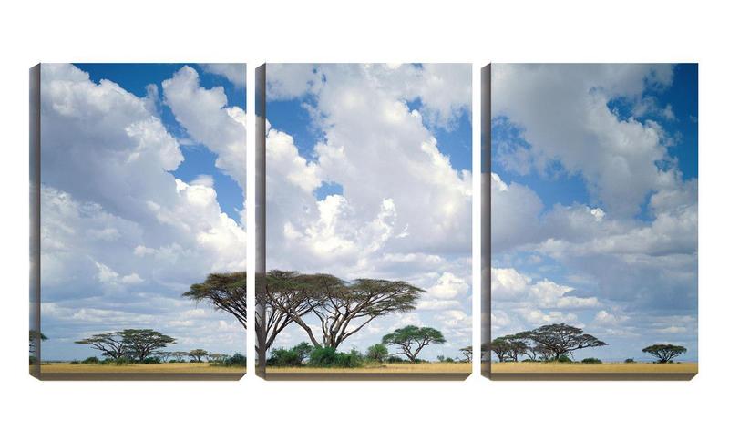 Imagem de Quadro Decorativo 68x126 árvores da savana céu azul