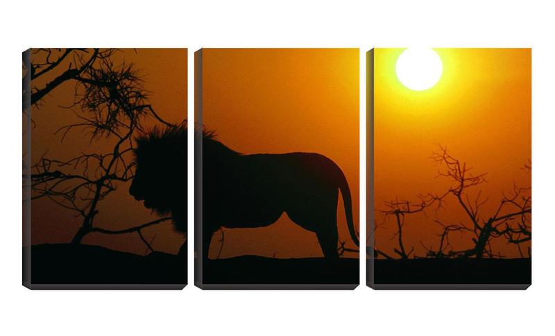 Imagem de Quadro Decorativo 68x126 silhueta de leão na savana