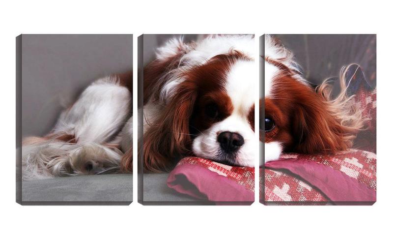 Imagem de Quadro Decorativo 80x140 cãozinho deitado na almofada