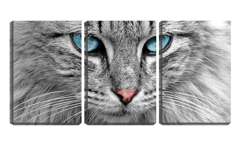 Imagem de Quadro Decorativo 80x140 olhar azul de gato pb