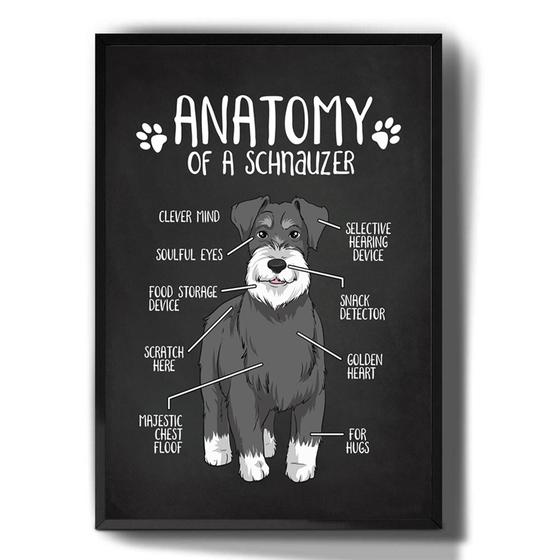 Imagem de Quadro Decorativo Anatomia Cachorro Schnauzer Desenho