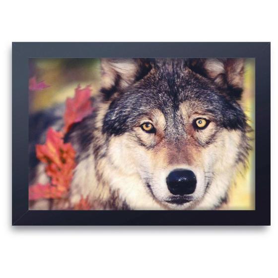 Imagem de Quadro Decorativo Animais 79 Lobo MDF 30x45cm