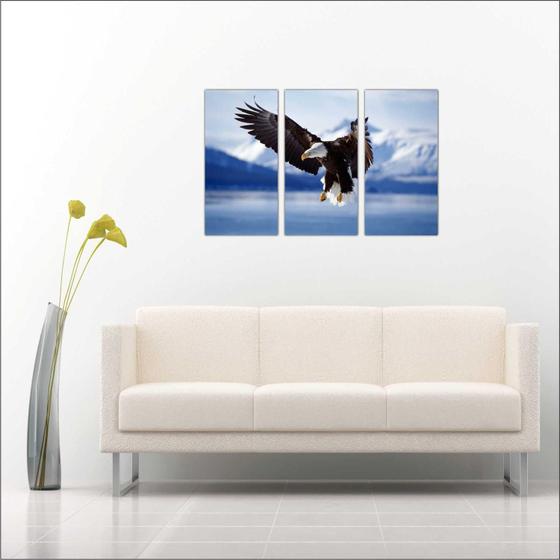 Imagem de Quadro Decorativo Animais Águia Salas 3 peças Com Moldura