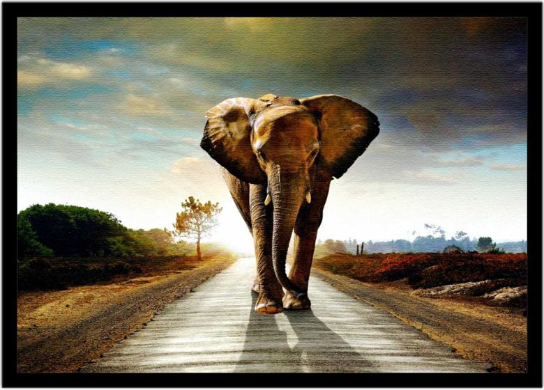 Imagem de Quadro Decorativo Animais Elefante Fantasia Paisagem Natureza Veterinário Pet Shop Com Moldura RC115