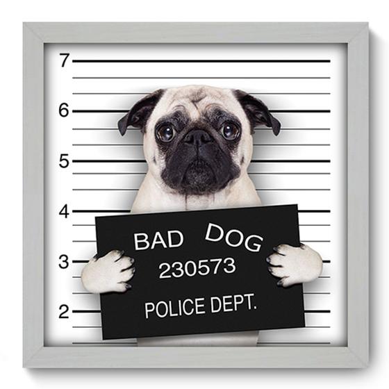 Imagem de Quadro Decorativo - Bad Pug - 33cm x 33cm - 047qdsb