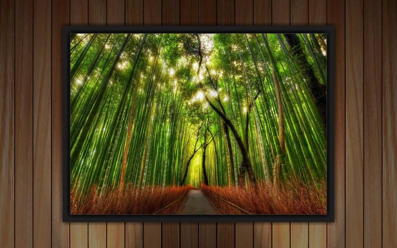 Imagem de Quadro Decorativo Bambu Paisagens Natureza Decorações Com Moldura