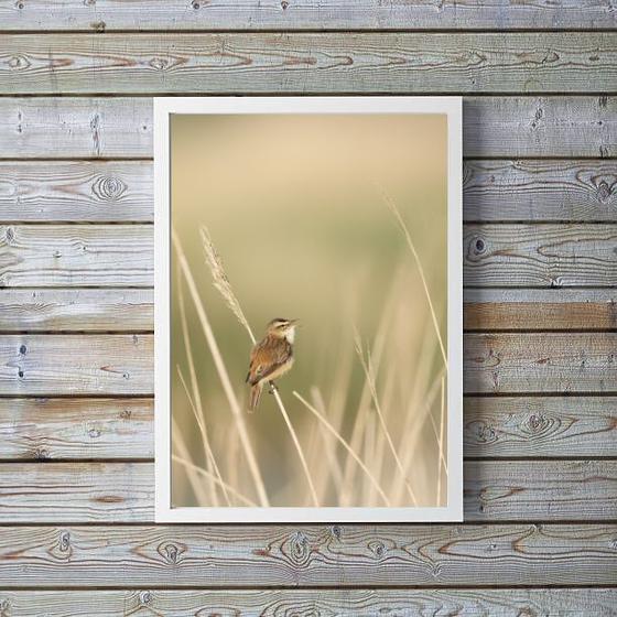 Imagem de Quadro Decorativo Bege Passarinho Natureza 24x18cm - com vidro