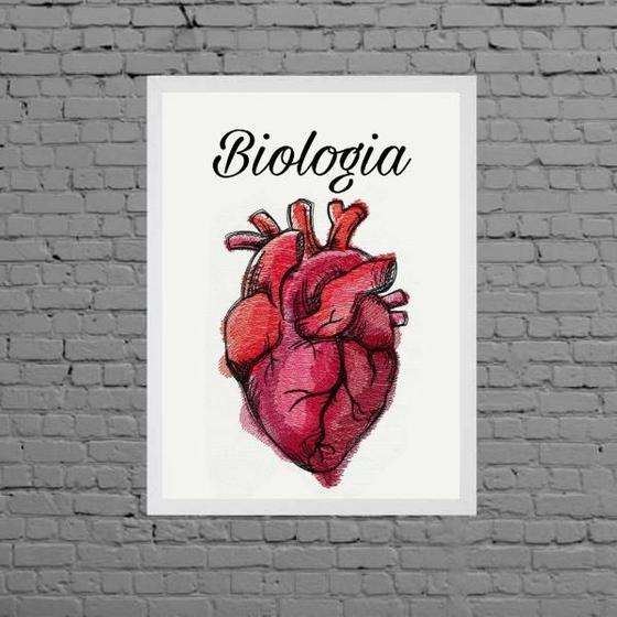 Imagem de Quadro Decorativo Biologia Coração 24X18Cm Com Vidro Branca