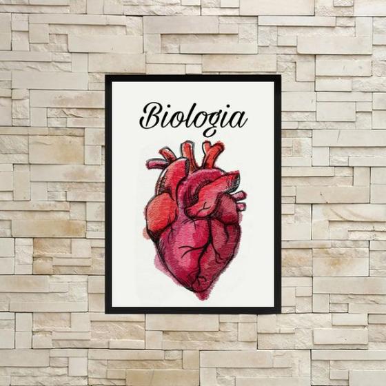 Imagem de Quadro Decorativo Biologia Coração 24x18cm - com vidro