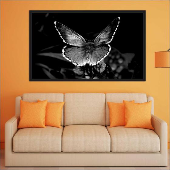 Quadro Decorativo Borboleta Preto e Branco Decorações Salas Com Moldura TT06 Menor preço em Quadro Decorativo Borboleta Preto e Branco Decorações Salas Com Moldura TT06