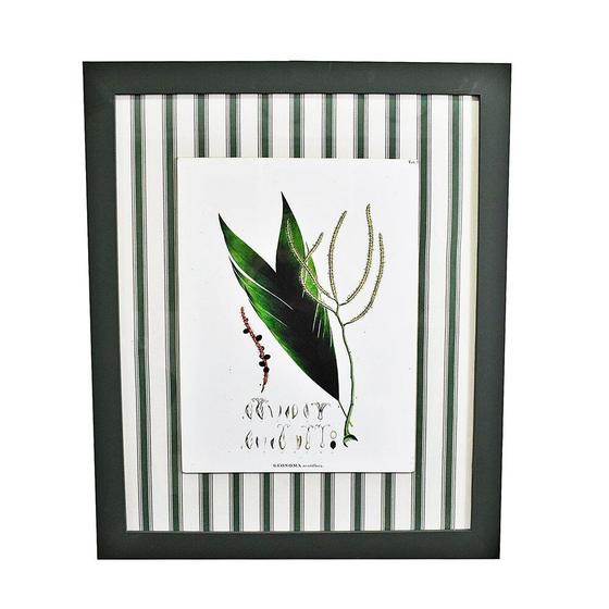 Imagem de Quadro Decorativo Botânico Com Tecido 4 Oenocarpus 52x63cm