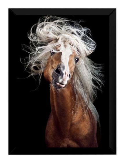 Imagem de Quadro Decorativo Cavalo Cabelo Animal Equino