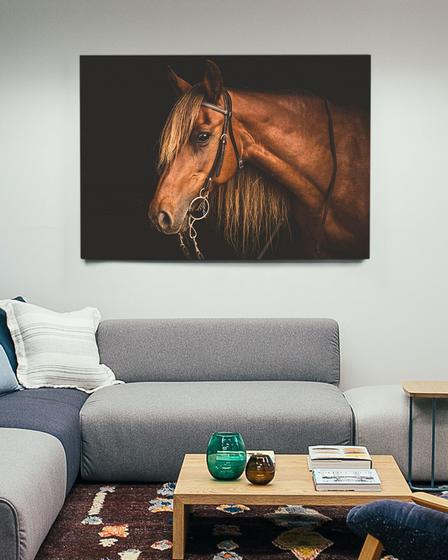 Imagem de Quadro Decorativo Cavalo Canvas 50x70 - Foto Paulista