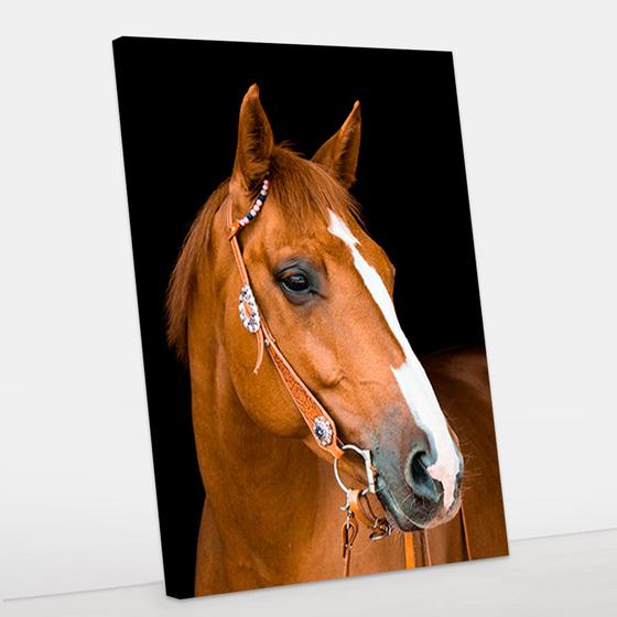 Imagem de Quadro Decorativo Cavalo Canvas 60x90 - Foto Paulista