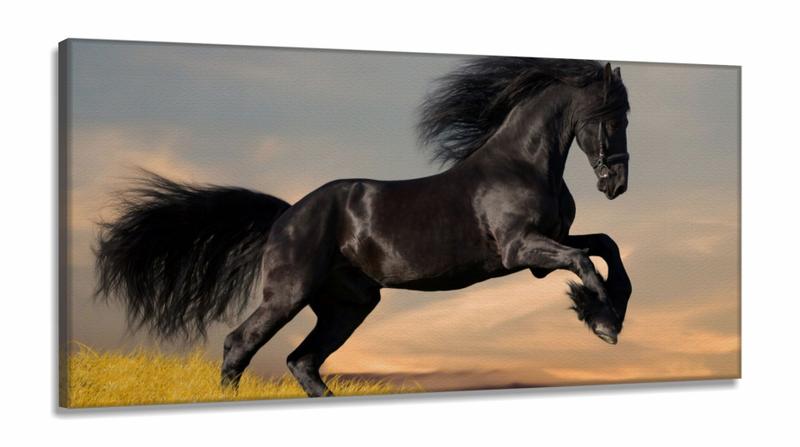 Imagem de Quadro decorativo Cavalo Preto Pulando Para Sala Quarto em Tecido Canvas 130x60