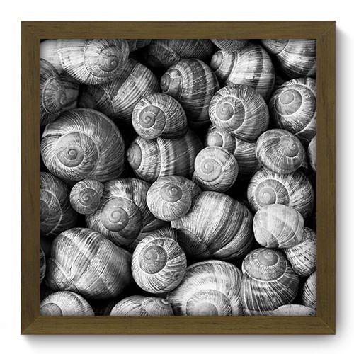 Imagem de Quadro Decorativo - Conchas - 33cm x 33cm - 202qdsm