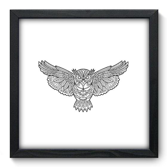 Imagem de Quadro Decorativo - Coruja - 33cm x 33cm - 216qdsp