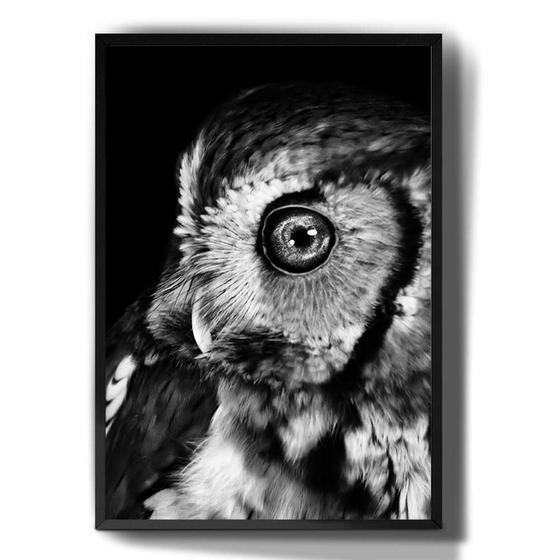 Imagem de Quadro Decorativo Curuja Ave Animais Fundo Preto Art