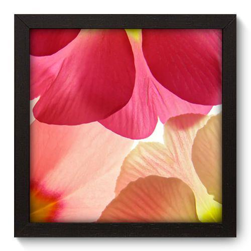 Imagem de Quadro Decorativo - Flor - 22cm x 22cm - 016qnfap