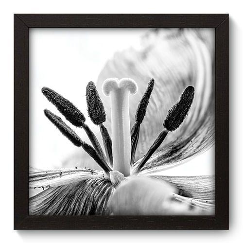 Imagem de Quadro Decorativo - Flor - 22cm x 22cm - 099qdfp