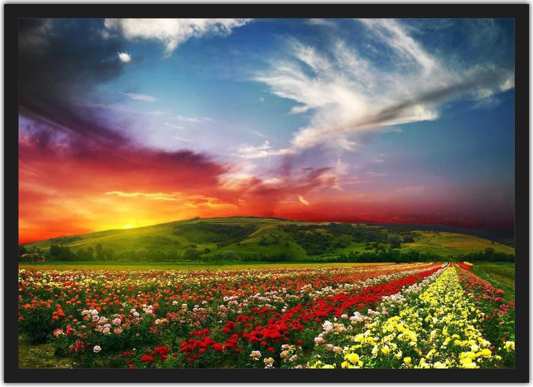 Imagem de Quadro Decorativo Flores Campo Jardim Paisagens Salas Decorações Com Moldura