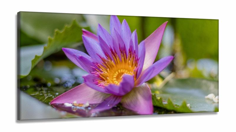 Imagem de Quadro decorativo Flores - Paisagem Natureza - em Tecido Canvas 130x60