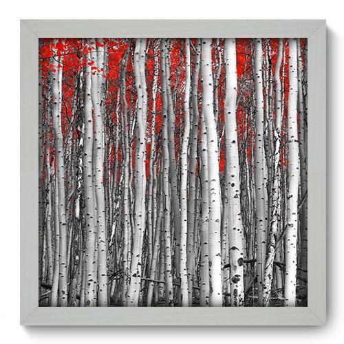 Imagem de Quadro Decorativo - Floresta - 33cm x 33cm - 059qndbb