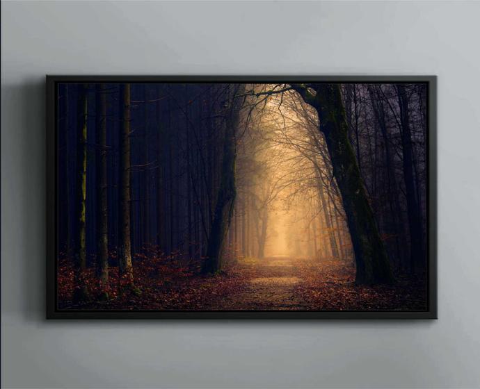 Imagem de Quadro Decorativo Floresta Feixe De Luz Paisagem Natureza Salas Tela Canvas Premium 