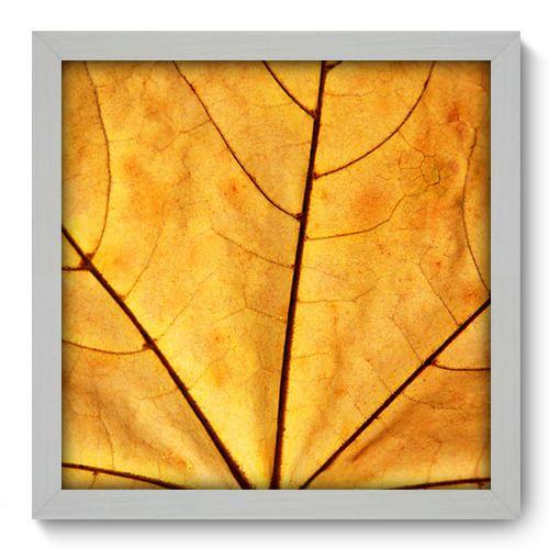 Quadro Decorativo - Folha - 33cm x 33cm - 011qndbb Menor preço em Quadro Decorativo - Folha - 33cm x 33cm - 011qndbb