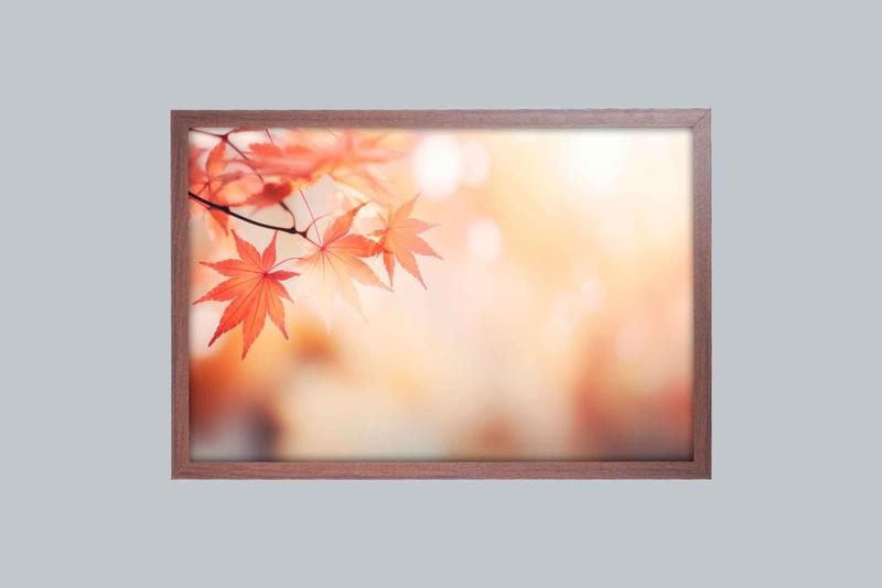 Imagem de  Quadro Decorativo Folhas De outono