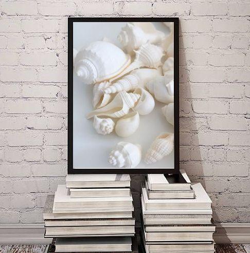 Imagem de Quadro Decorativo Fotografia Branca Conchas 24x18cm - com vidro