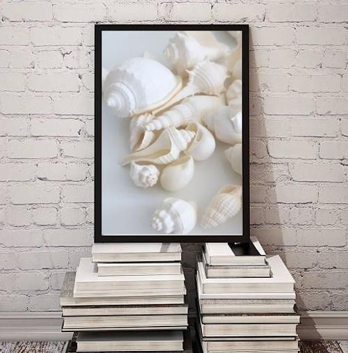 Imagem de Quadro Decorativo Fotografia Branca Conchas 45X34Cm - Vidro