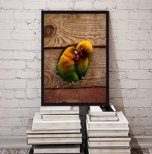 Imagem de Quadro Decorativo Fotografia Casal Periquitos 33X24Cm Vidro