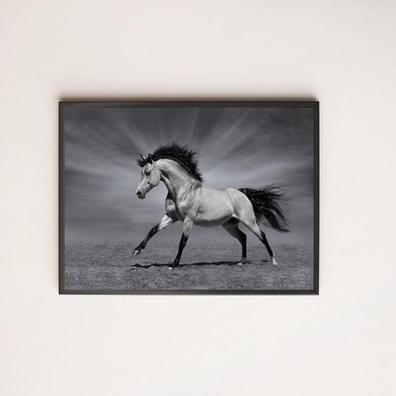 Imagem de Quadro Decorativo Fotografia Cavalo Preto e Branco 24x18cm