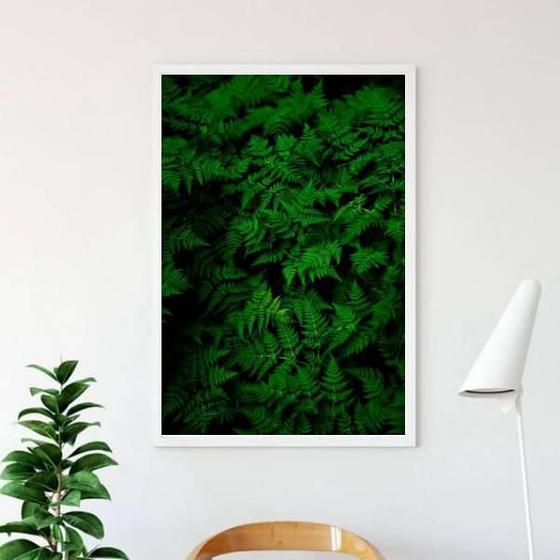 Imagem de Quadro Decorativo Fotografia Samambaias 45x34cm