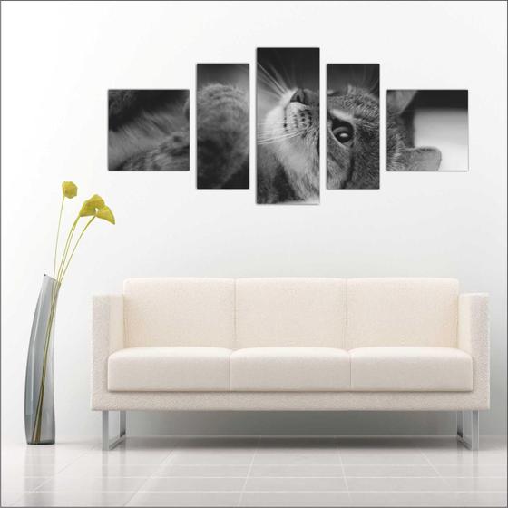 Quadro Decorativo Gato Salas Decorações Interiores 5 Peças TT9 Menor preço em Quadro Decorativo Gato Salas Decorações Interiores 5 Peças TT9