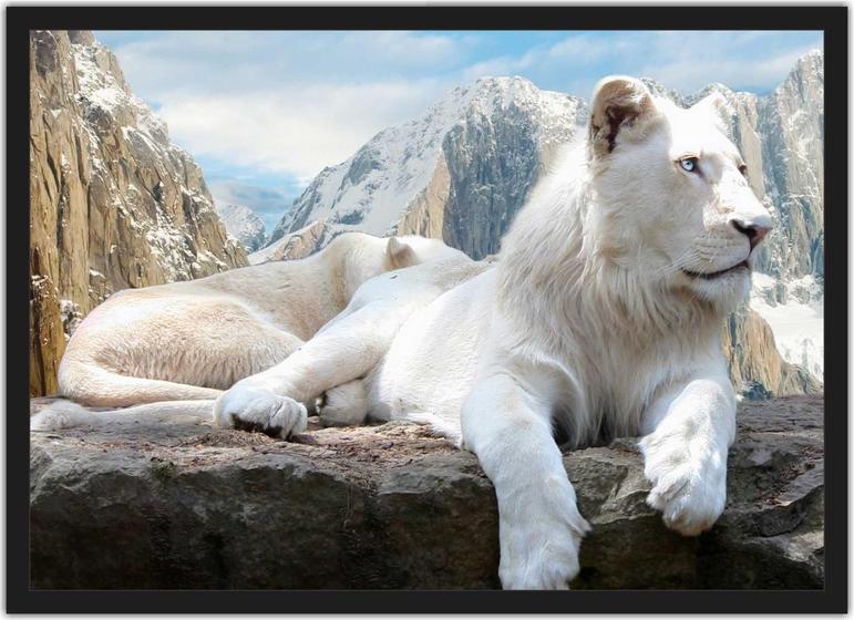 Quadro Decorativo Leão Branco Animais Decoração Com Moldura Menor preço em Quadro Decorativo Leão Branco Animais Decoração Com Moldura