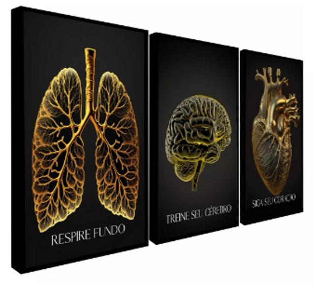 Imagem de Quadro decorativo Medicina Anatomia "