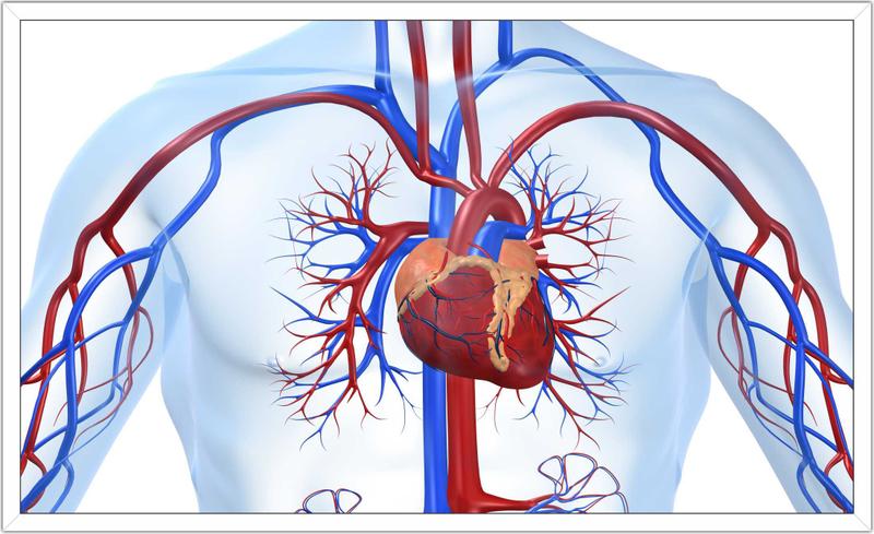 Imagem de Quadro Decorativo Medicina Médicos Cardiologia Consultórios Decorações Salas Moldura Branca 