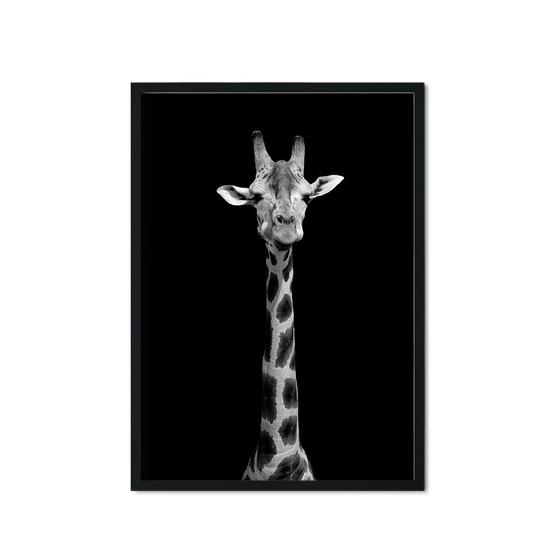 Imagem de Quadro Decorativo Moldura Girafa Preto Branco Pescoço Sala Quarto Escritório