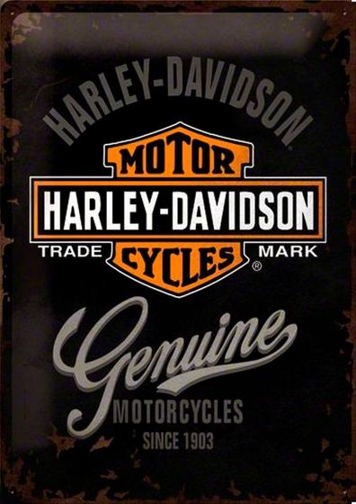 Imagem de Quadro Decorativo Moto Harley Davidson Modelo 111 30x20 Mdf Madeira Adesivada