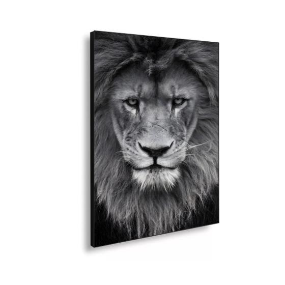 Imagem de Quadro Decorativo O Olhar do Leao Preto e Branco