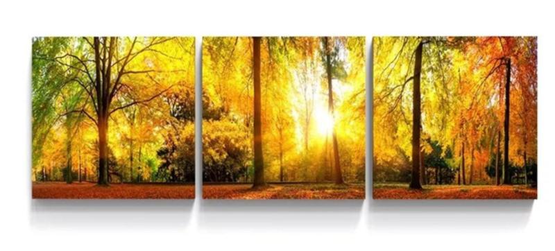 Imagem de Quadro Decorativo Painel Mosaico Folhas Luz Sol Floresta Outono"